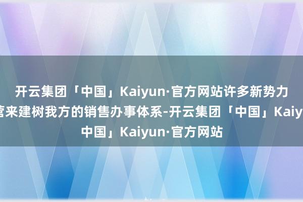 开云集团「中国」Kaiyun·官方网站许多新势力都会弃取直营来建树我方的销售办事体系-开云集团「中国」Kaiyun·官方网站