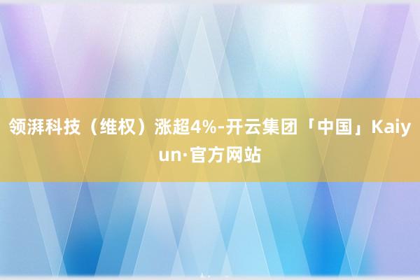 领湃科技（维权）涨超4%-开云集团「中国」Kaiyun·官方网站