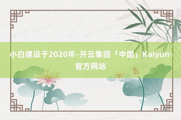 小白建设于2020年-开云集团「中国」Kaiyun·官方网站