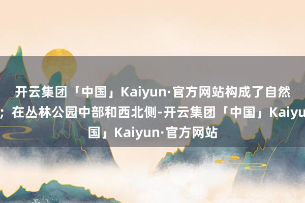 开云集团「中国」Kaiyun·官方网站构成了自然石林景不雅；在丛林公园中部和西北侧-开云集团「中国」Kaiyun·官方网站