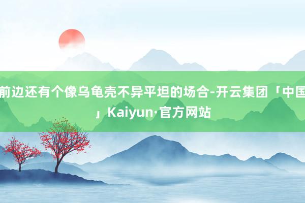 前边还有个像乌龟壳不异平坦的场合-开云集团「中国」Kaiyun·官方网站