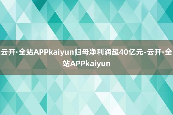 云开·全站APPkaiyun归母净利润超40亿元-云开·全站APPkaiyun